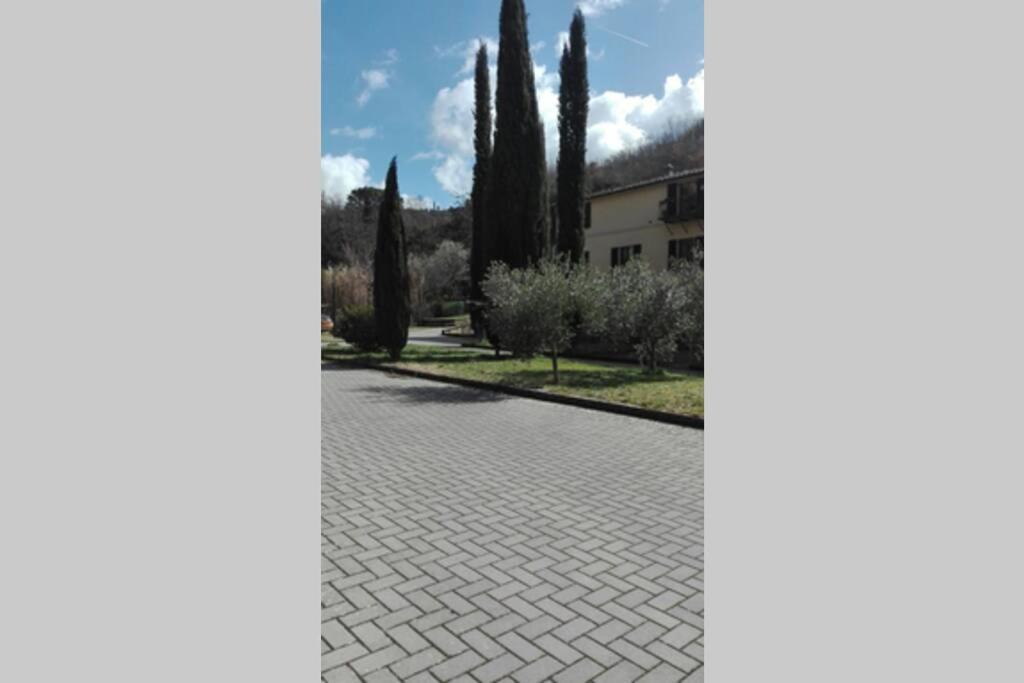 Ferienwohnung Casazappa - In Centro A Piedi, Parcheggio E Giardino Privato Siena Exterior foto